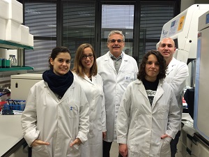 Equipo investigador de la UB